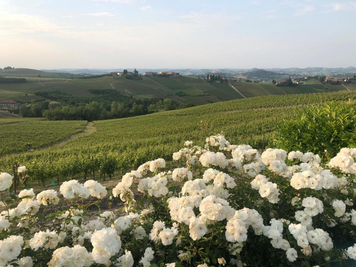 Agriturismo La Casa In Collina Canelli Buitenkant foto