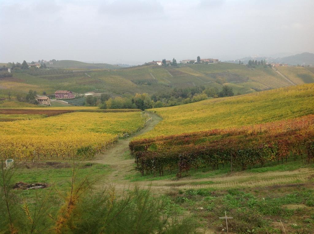 Agriturismo La Casa In Collina Canelli Buitenkant foto
